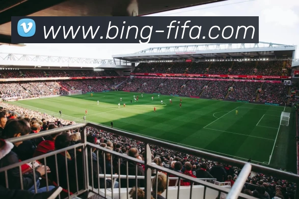 世界杯买球APP 封面图